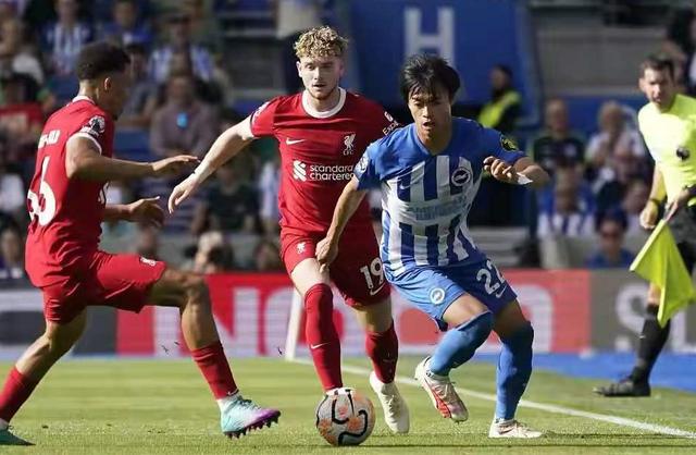 包含欧联集结日走向成谜，布莱顿防线松动，球迷炸锅，团队化学反应显著的词条